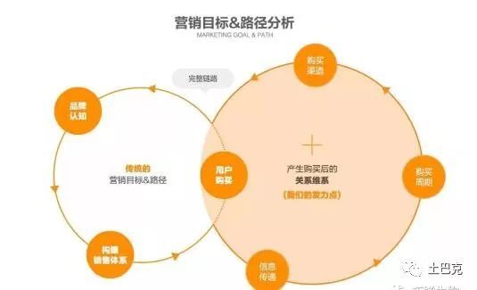 互聯網+合作社 新型農業開啟致富新篇章，數據處理服務成為關鍵引擎