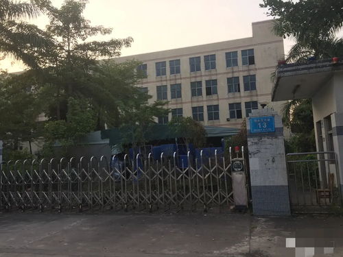 人去樓空后的堅守 東莞某工廠倒閉后的安保防衛用品與兩位保安的故事